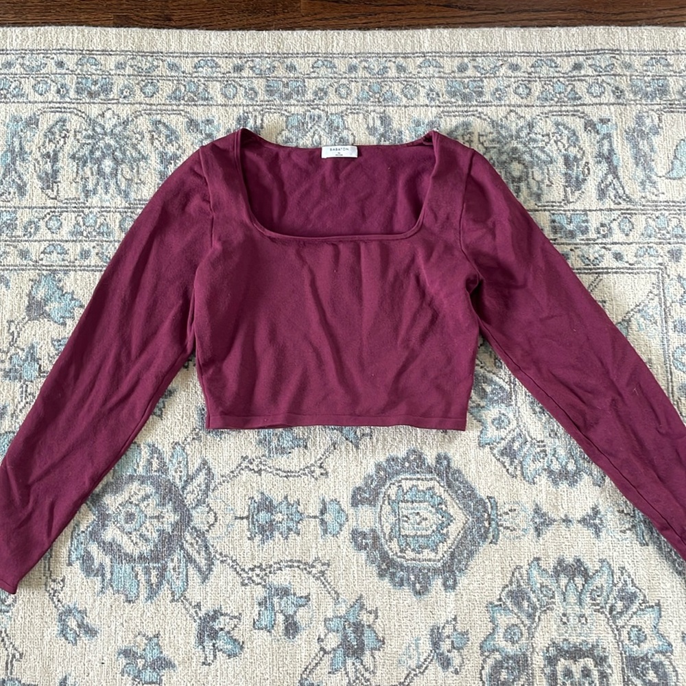 Aritizia Babaton Long Sleeve Crop Top